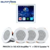 White amp- 4CR310