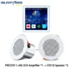 White amp- 2CR310