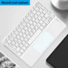 White no mouse