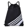 bag1