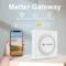 Matter gateway