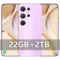 Purple 22GB 2TB