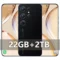 Black 22GB 2TB