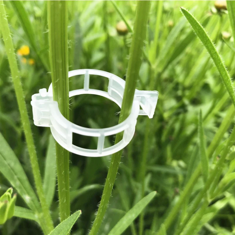 200pcs Plastic Plant Clips Supports Connects Reusable Protection Grafting Fixing Tool Gardening Supplies for Vegetable Tomato