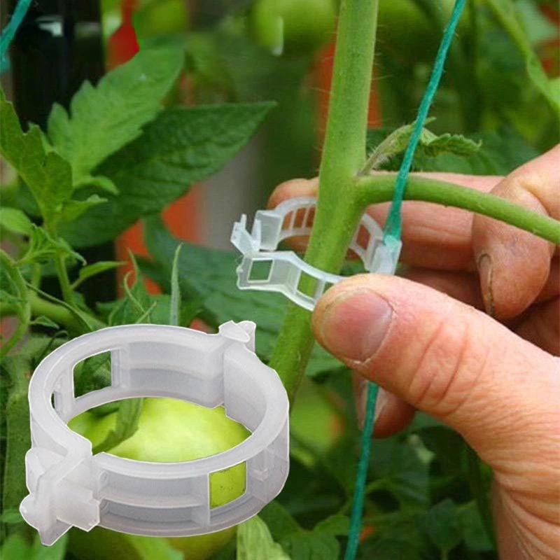 50/100pcs Plastic Plant Clips Supports Connects Reusable Protection Grafting Fixing Tool Gardening Supplies for Vegetable Tomato