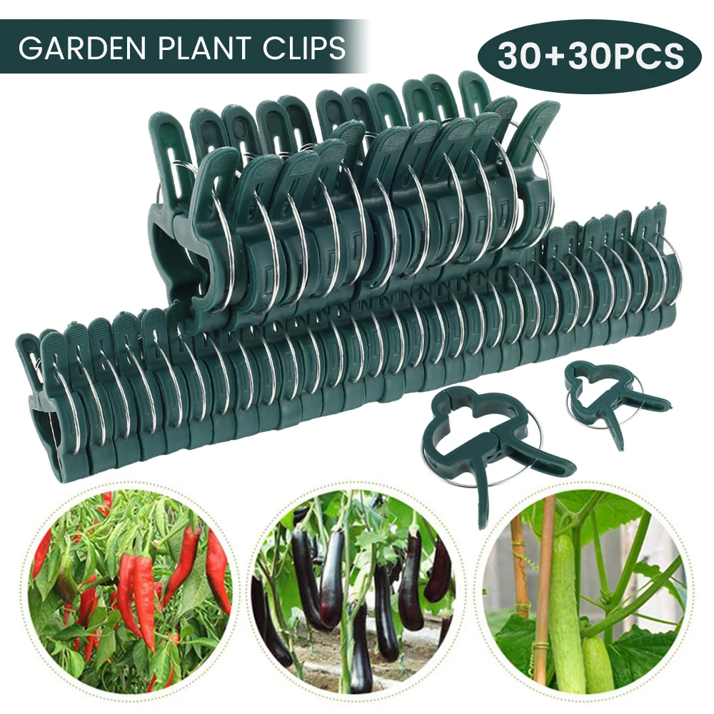 60Pcs Plant Fixed Clips Reusable Greenhouse Bracket for Fixing Stems of Flower Vine Vegetables Tomatoes Fastener Garden Supplies