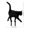 Simulated Cat