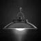 LY 11A White Light