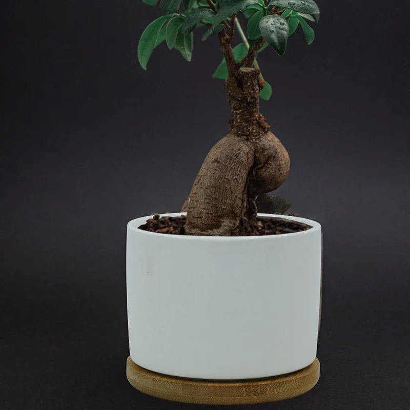 Ceramic Flowerpot Succulent Plant Small Flower Pot with Coated White Porcelain Home Gardening Flowerpot