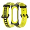 Black yellow