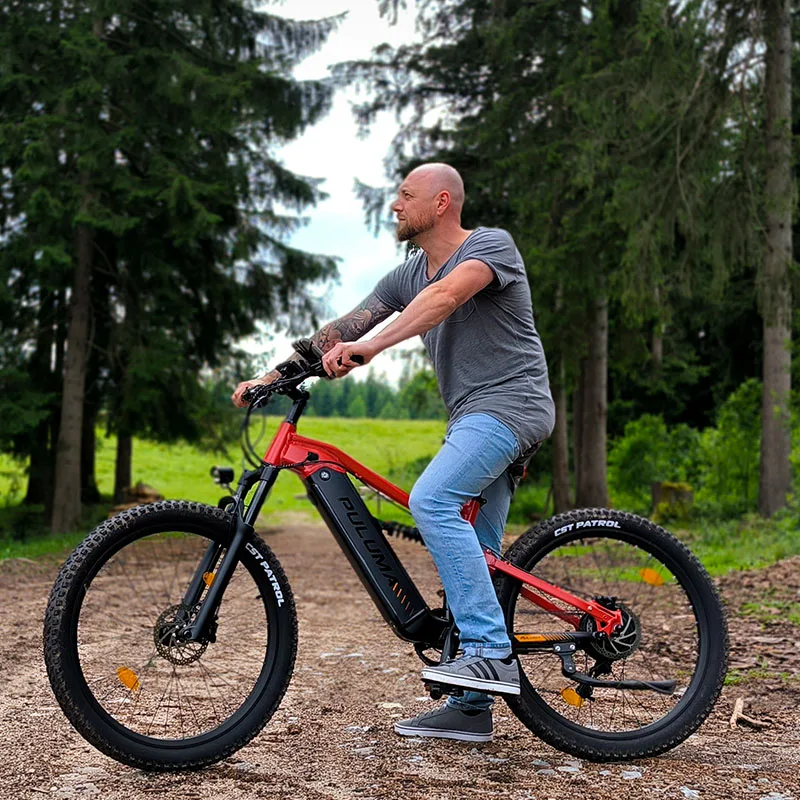 電動自転 車1000W48v17ahMATE BIKE よりも強いと思います - メルカリ 