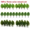 30pcs