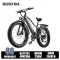 RX20 20AH 250W（Speed 25KM/H）