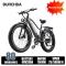 RX20 20AH 1500W（Speed 50KM/H）