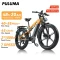 PH003 2000W Motor