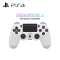 PS4 handle white