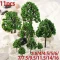 11pcs