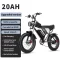 BLACK-1000W-48V-20AH