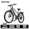 RX70 250W 20AH