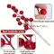 20Pcs Red fruit