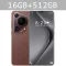 Brown 16GB 512GB