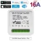 16A Smart Switch