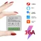 16A ZigBee switch
