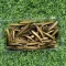 GD15 50PCS 02