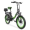 Black Green-750W-48V13AH