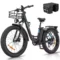 Black-1500W-48V20AH