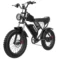 BLACK-1000W-48V-20AH