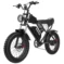 Q20-1000W-48V20AH