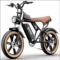 Brown-1000W-48V20AH