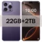 Purple 22GB 2T