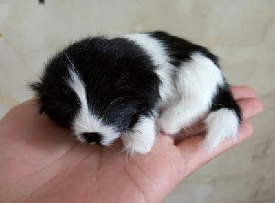 10x7cm black&white prone dog hard model,polyethylene&real furs handicraft Figurines&Miniatures home decoration toy gift a2840
