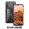 12GB 256GB