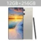 Titanium 12GB 256GB