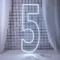 number 5