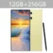 Gold 12GB 256GB
