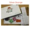 SilverOrange2GB 16GB