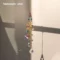 D2