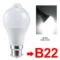 B22 White