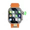 Silver Orange