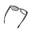 smart glasses