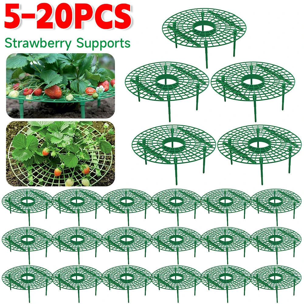 5PCS Strawberry Supports with 4 Sturdy Legs Garden Plants Fruit Stand Strawberry Growing Racks Plant Support Garden Accsesories