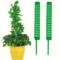 Green 2PCS