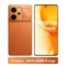 12GB 256GB Orange