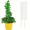White 2PCS