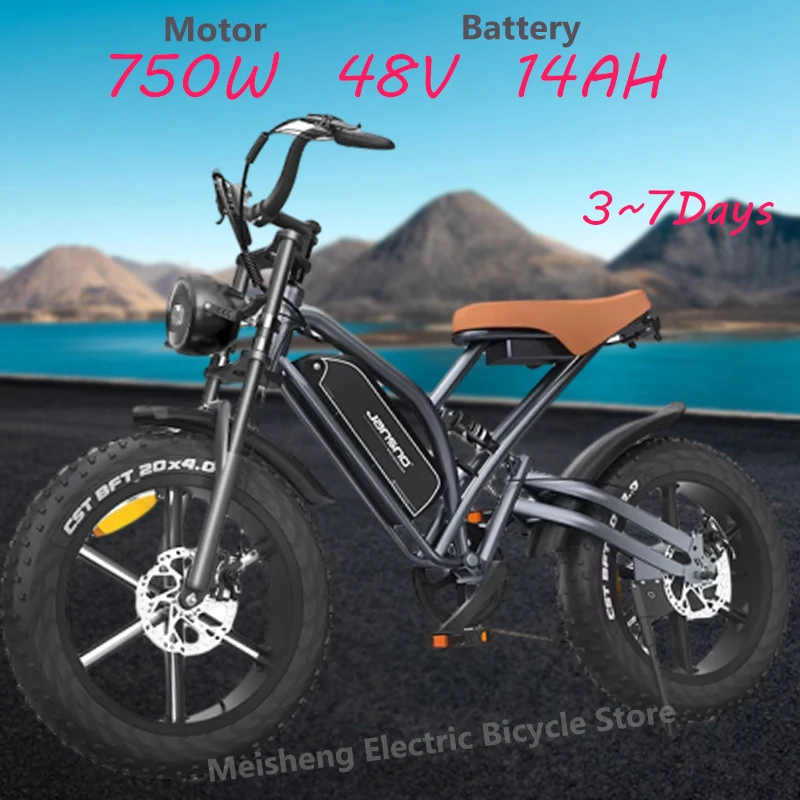Jansno Ebike X50 European stock 1000W motor 48V14AH imported battery 20 inch fat tires mountain off-road city electric bicycle