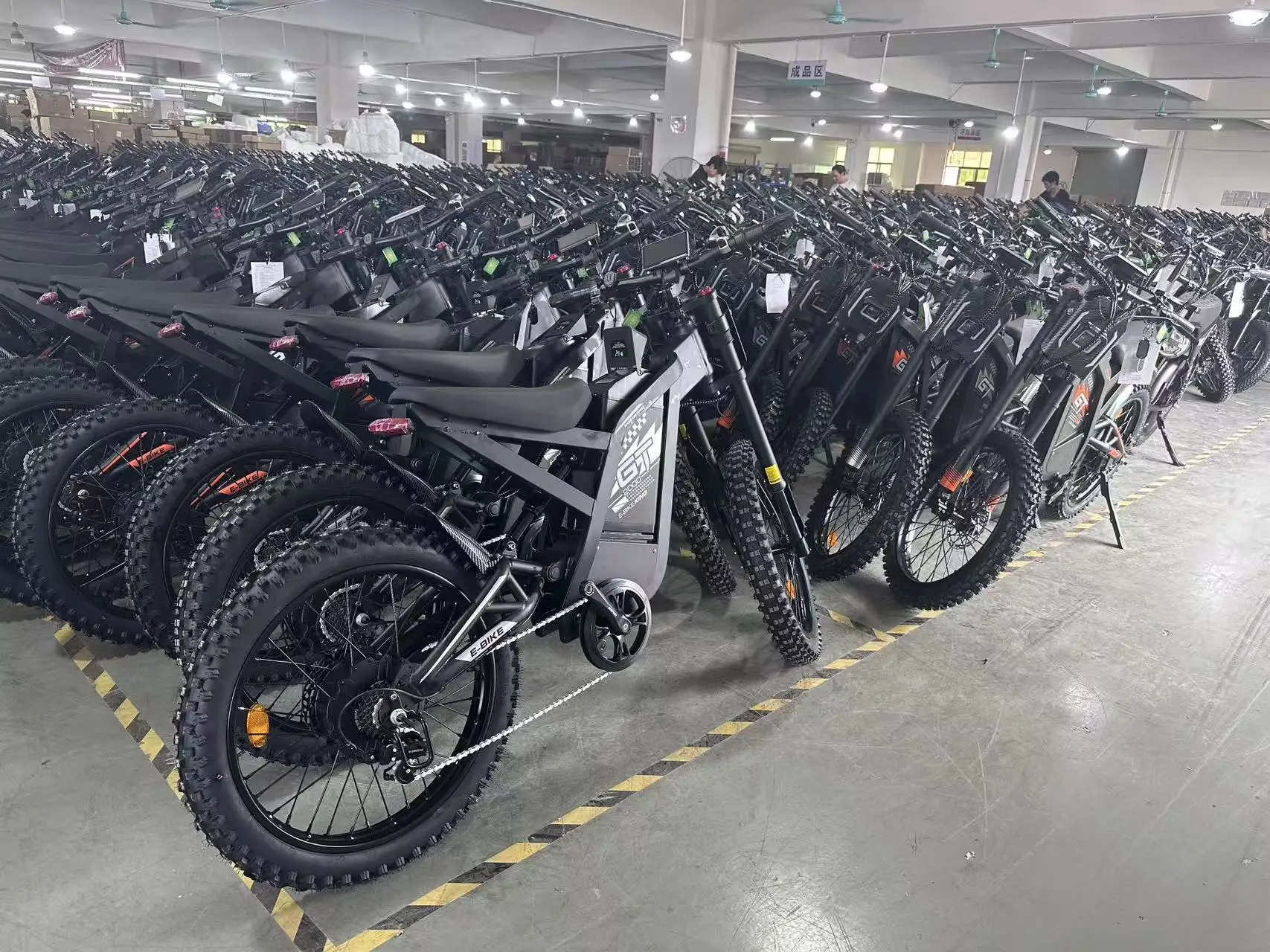 GT-2000 New Arrivals Wholesale 1500W 2000W 48V 30AH EV ET Tire Powerful Dirt E EBIKE Electric Mountain Bike Bicycle Dirtbike